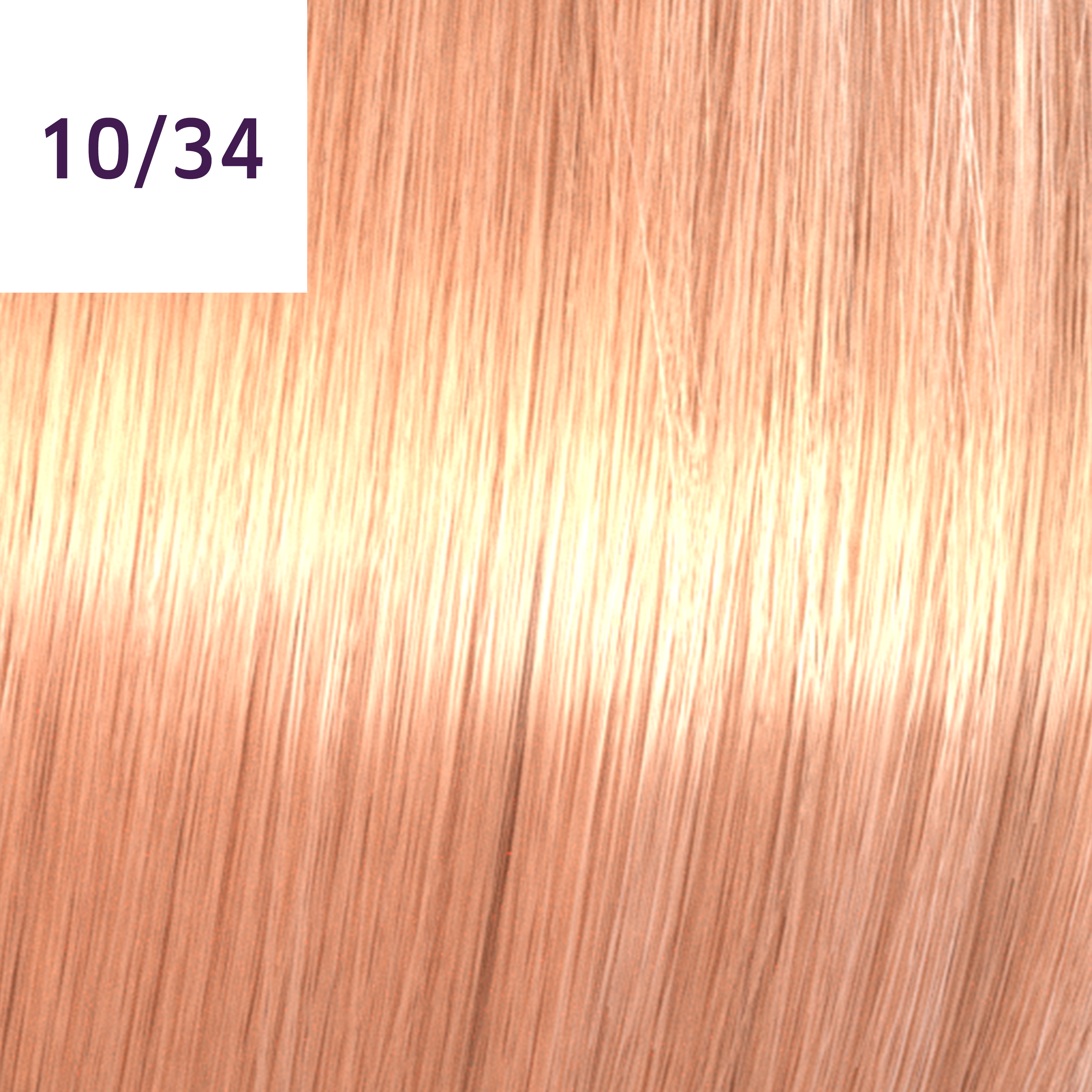 Wella Tinte Color Touch CT  6 ml 10/34 - BELLINI