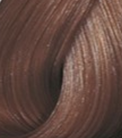 Wella Tinte Color Touch CT 60 ml. 6/37 Rubio Oscuro Dorado Marrón