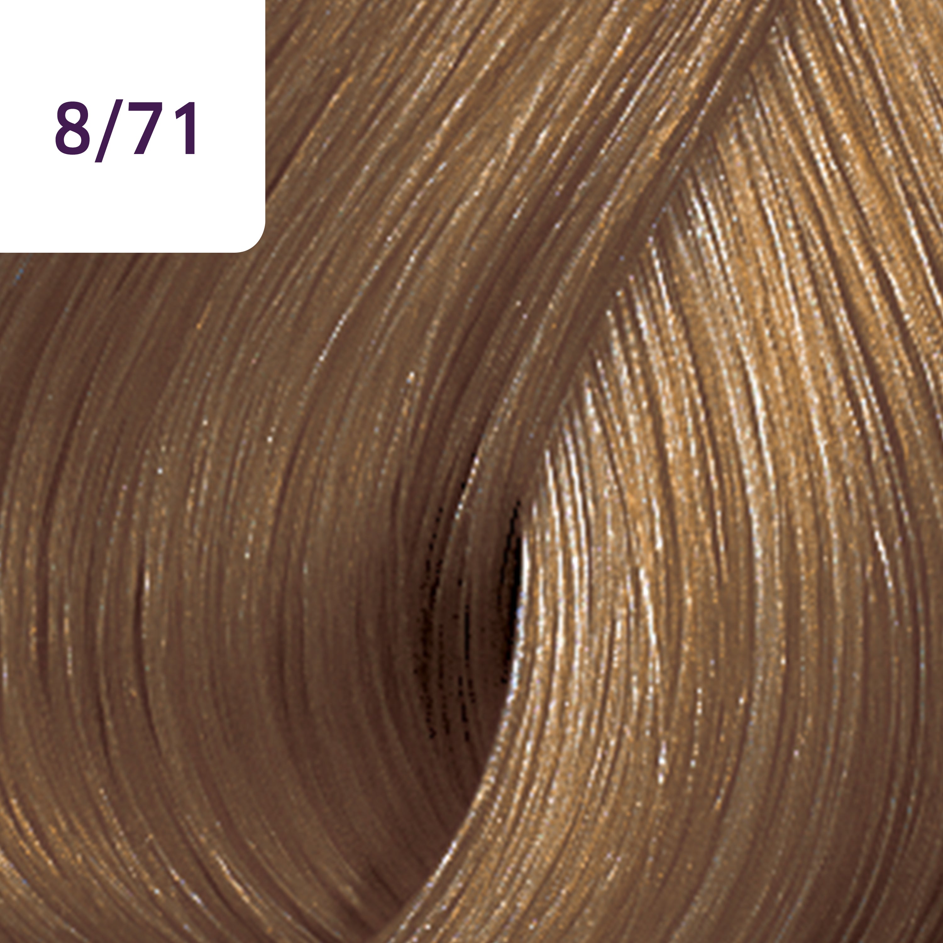 Wella Tinte Color Touch CT 60 ml. 8/71 Rubio Claro Marrón Ceniza