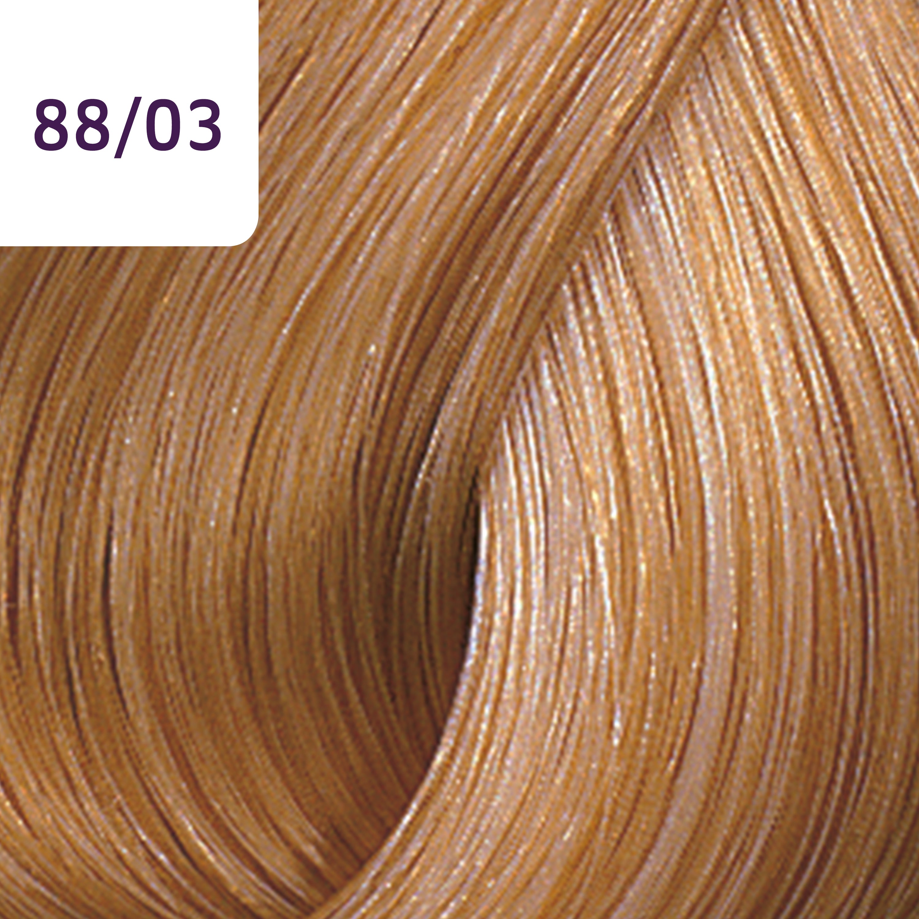 Wella Tinte Color Touch Plus CTP 60 ml. 88/03 Rubio Claro Intenso Natural Dorado