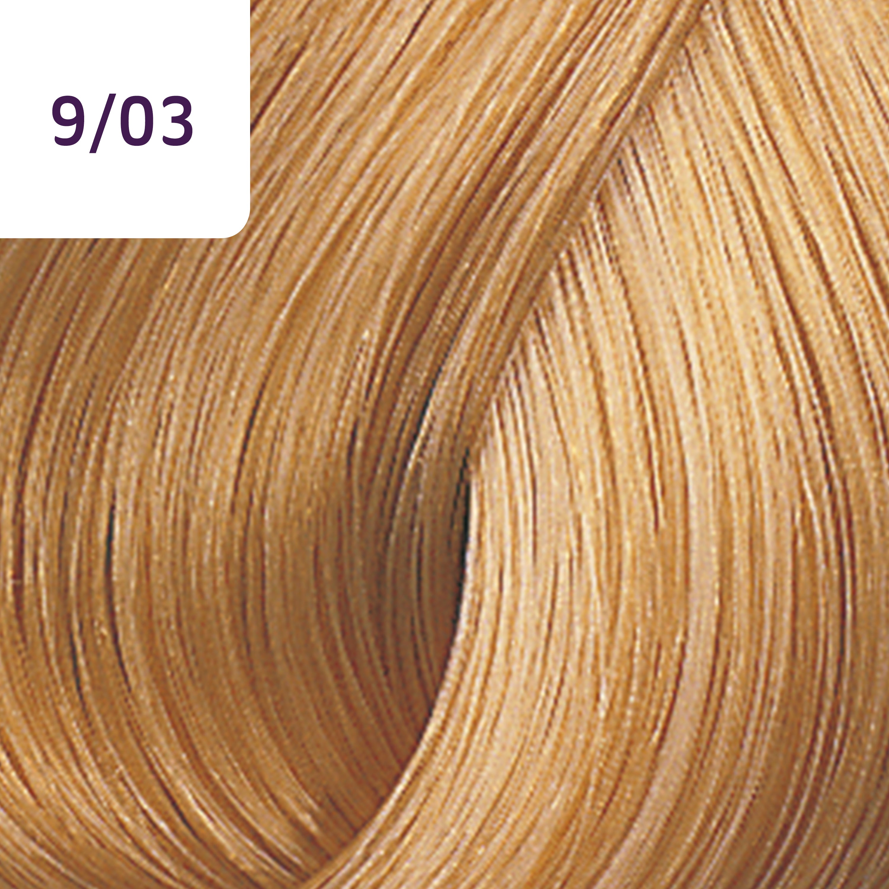 Wella Tinte Color Touch CT 60 ml. 9/03 Rubio Extra Claro Natural Dorado
