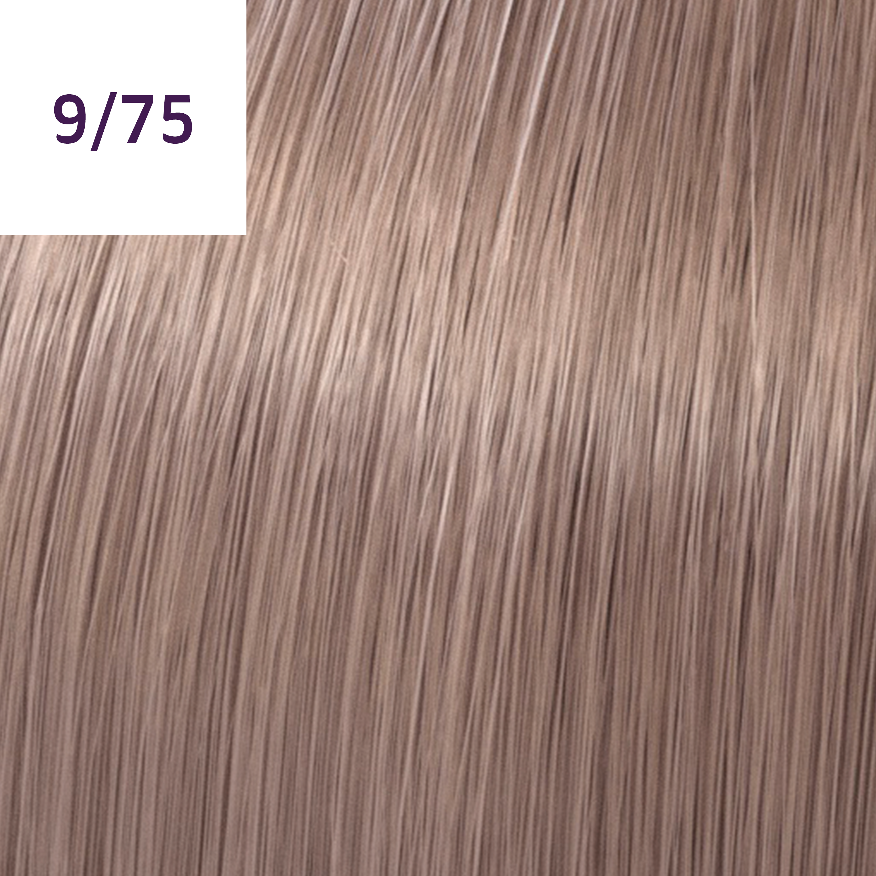 Wella Tinte Color Touch  CT 60 ml 9/75 - BELLINI